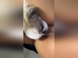 An Intimate and Exciting Experience