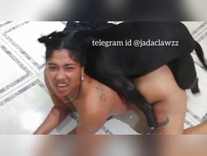 Animal and Human Satisfaction: A Taboo Sexual Encounter Revealed