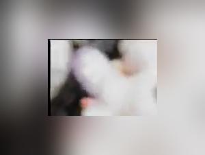 Two Girls and Their Canine Companion: A Memorable Encounter