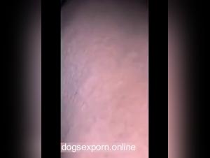 The Passion of Two Young Women Who Screw Their Dog