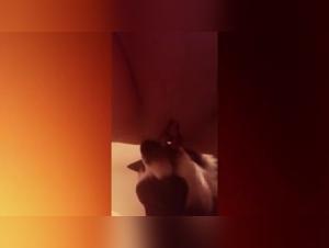 Sex Videos with Dogs: A Unique Experience