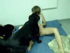 An extreme zoophilia experience with a dog