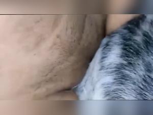 Exquisite Zoophilie: Schlampe und ihr Hund