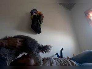 Bestiality sex video: a woman and a dog in a shocking relationship