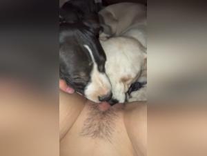 Delizie bestiali: donne e cani in una danza di desiderio