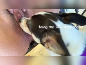 Tiefes Verlangen, leidenschaftliches Lecken: die sensorische Erkundung einer einsamen Mutter und ihres Hundegefahrten.