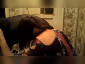 Submission and enjoyment: animal fuck without restraint