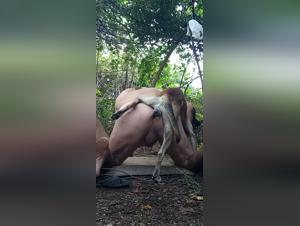 Feline slave, animal pleasure: limitless kisses