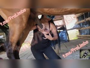 zoophilia beastility dog blow job videos