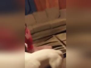 Primo contatto: delizie selvagge e istinti ribelli