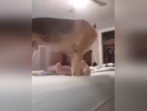 Banned video: Tine and her dog in a shocking encounter