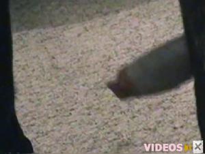 Watch Effie19 in Shocking Dog Sex Video