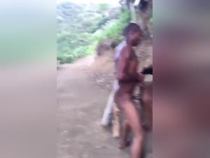 Bestiality and extreme sex video