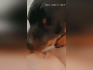 Découvrez les plaisirs de la zoophilie dans cette vidéo de sexe avec un chien