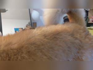 Consequences and Ethical Boundaries