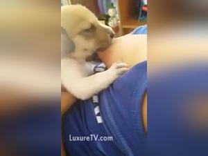 Video of extreme zoophilia with a dog