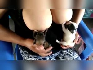 Extreme Bestiality with a Puppy