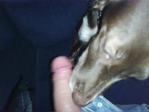 Watch This Woman Do Dirty Things With Her Dog