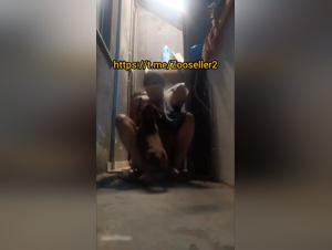 5 Runden tierischen Analsex - Hund gegen Frau