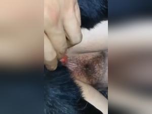 Bestiality sex video: Discover the world of zoophilia