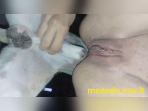 Forbidden Pleasures: Cinematic Unveiling