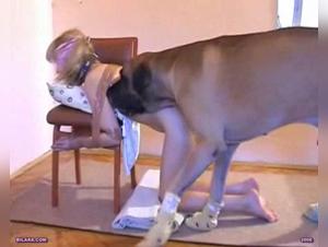 exploring beastiality