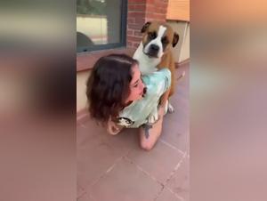 the art of zoo in church