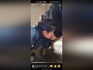 Troie asiatiche e loro impulsi animali