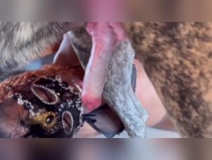 artofzoo social responsibility