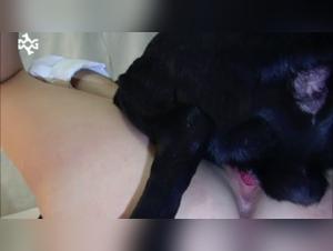 Unleashed Sluts: Erotic and Extreme Animal Fuck