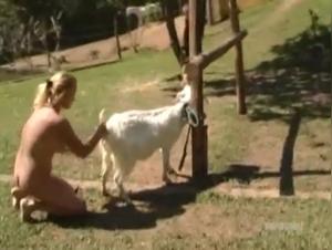 Bestiality: a woman and a goat in a hard scene