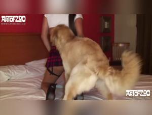 Explore the limits of ecstasy in a shocking bestiality video