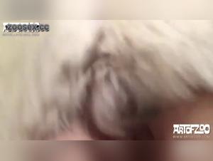 Extreme bestiality sex scene with dog