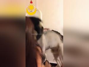 Exploring Forbidden Pleasures