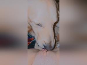 Subtle Influence on the Animal Subject