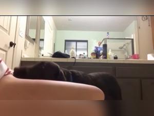 zufrieden Ihre schmutzigen Impulse mit Dogtube und Pornfay befriedigen
