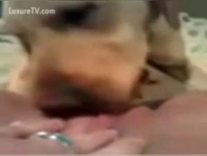 Extreme dog sex video