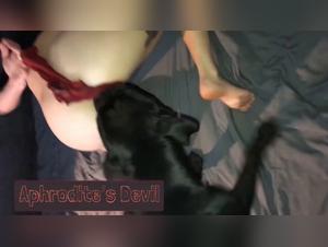 Bienestar Animal y Sensibilidad