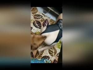 Discover the Prohibition of Zoophilia