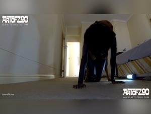 A bestial and passionate friendship with a canine companion