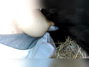 Tierischer Gehorsam und verrucktes Vergnugen: Entdecken Sie unsere Kollektion