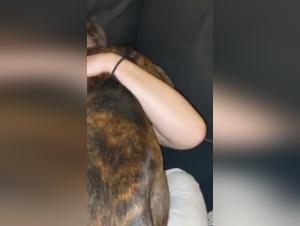 Sex with Dog Video - Cassandra3