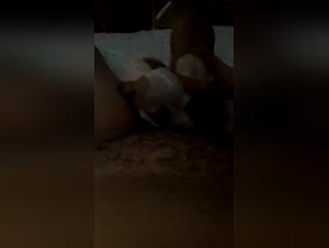 Dog Sex Video