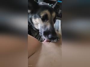 Extreme Doggy Sex Video: female dog and Her Best Friend