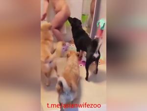 Dominanza canina, moglie presentata e desideri infuocati