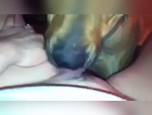 Bestiality sex video: dog and woman