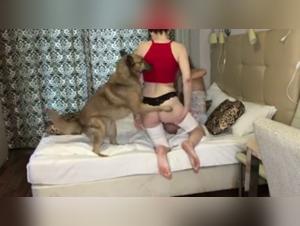 An intense and extreme zoophilia scene with Sonya