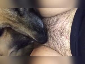 Watch this Slut Get Fucked by a Dog