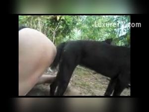 Tabu-Herausforderungen, dunkle Wunsche: Die Macht des Hundes beim schwulen Sex