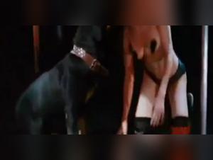 Naughty girls and dogs in extreme videos